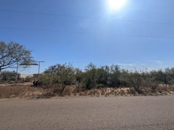 197-Rancho-Pila-Rd_Laredo_TX_78045_M77887-56421