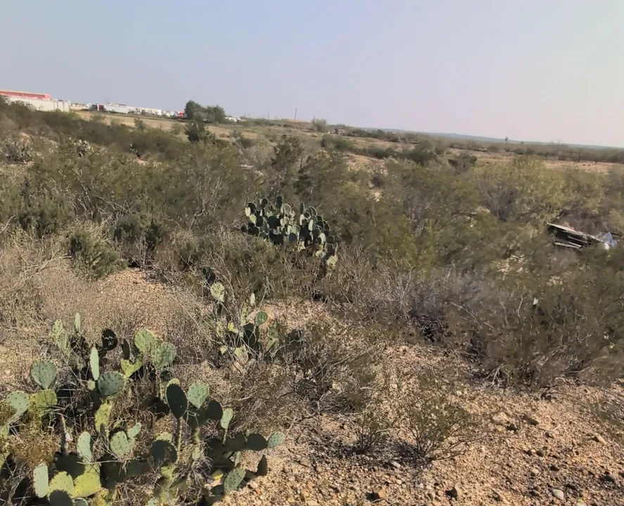 197-Rancho-Pila-Rd_Laredo_TX_78045_M77887-56421