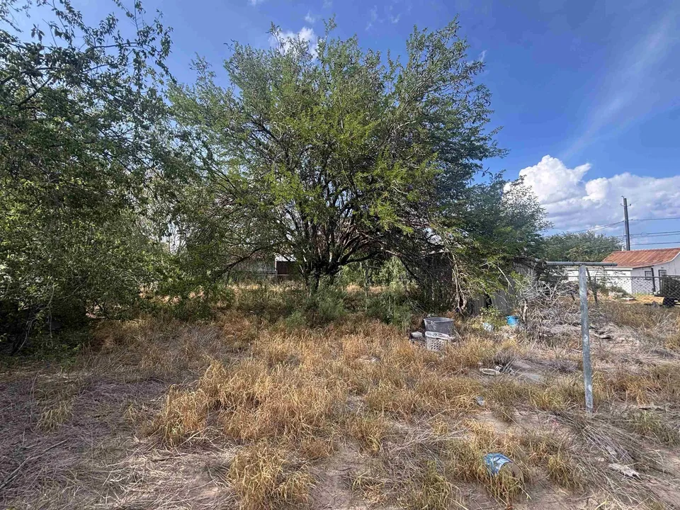 1710-Coke-St_Laredo_TX_78040_M76093-23019