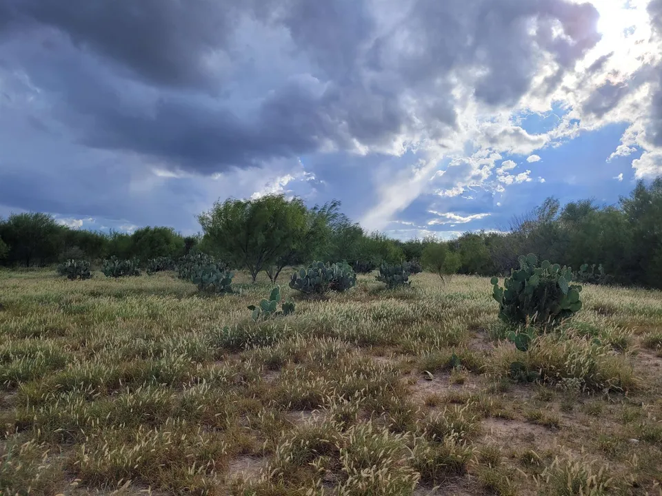 1000-S-Zapata-Hwy_Laredo_TX_78043_M82233-57590