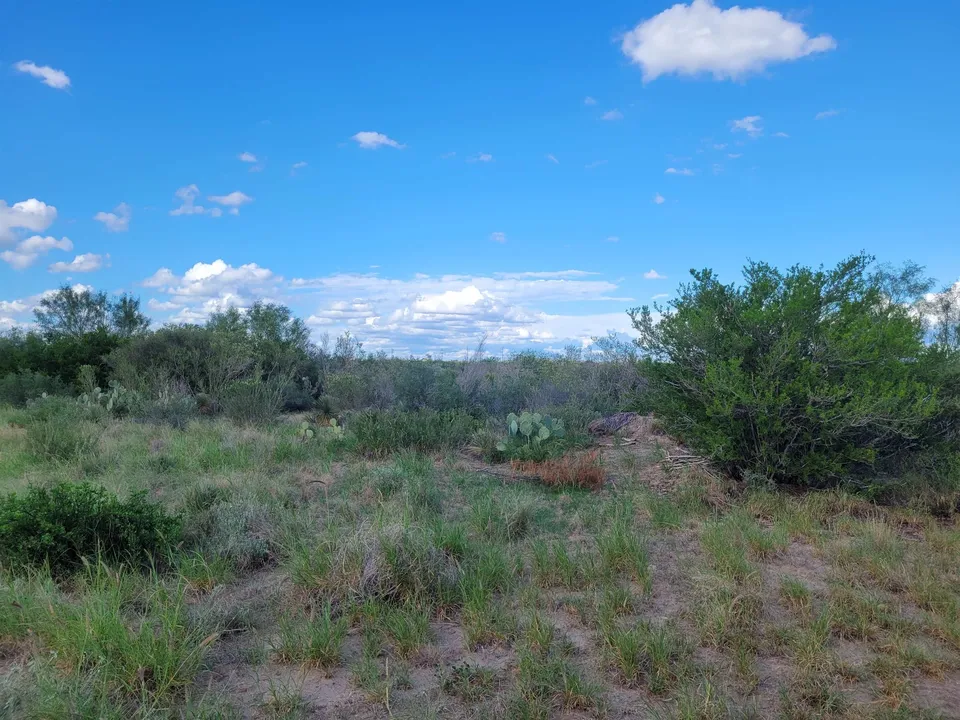 1000-S-Zapata-Hwy_Laredo_TX_78043_M82233-57590