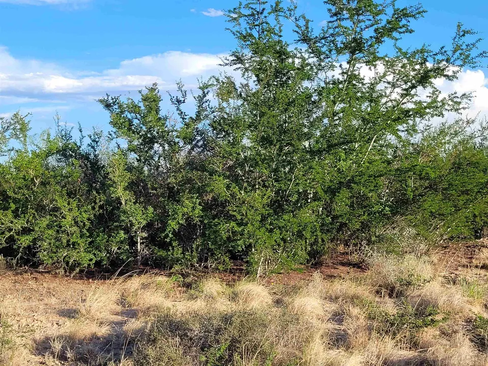 1000-S-Zapata-Hwy_Laredo_TX_78043_M82233-57590
