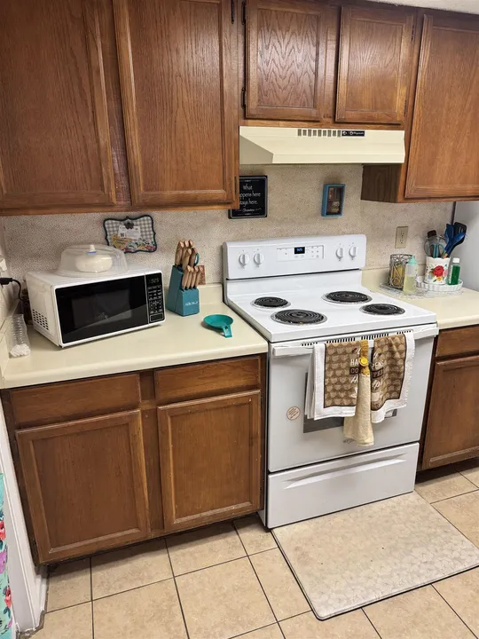 100-E-Aurora-Dr-331_Laredo_TX_78041_M78813-55991