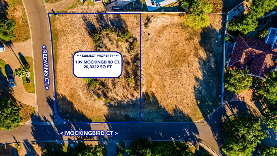 109-Mockingbird-Ct_Laredo_TX_78045_M70904-82784