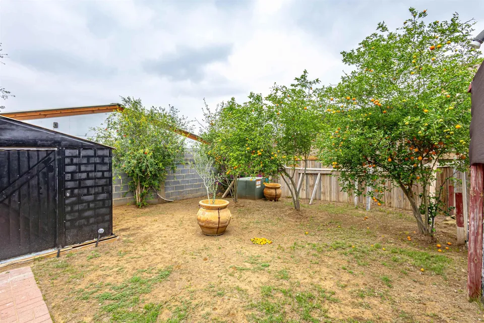 4406-Wild-Flower-Ave_Laredo_TX_78045_M78385-23423